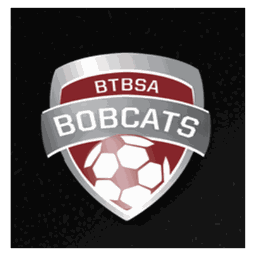 BTBSA logo