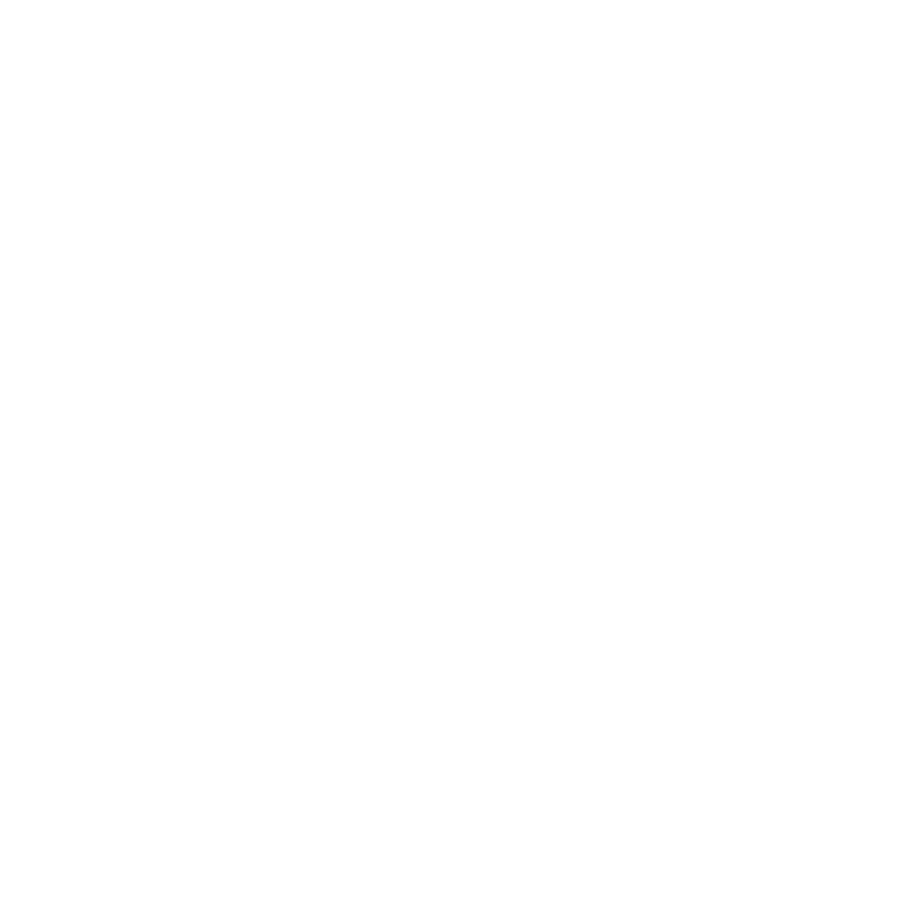 Charlotte Eagles logo