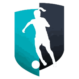 Croatian Eagles Soccer Club logo