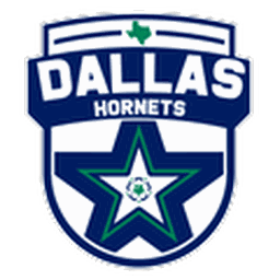 Dallas Hornets North logo