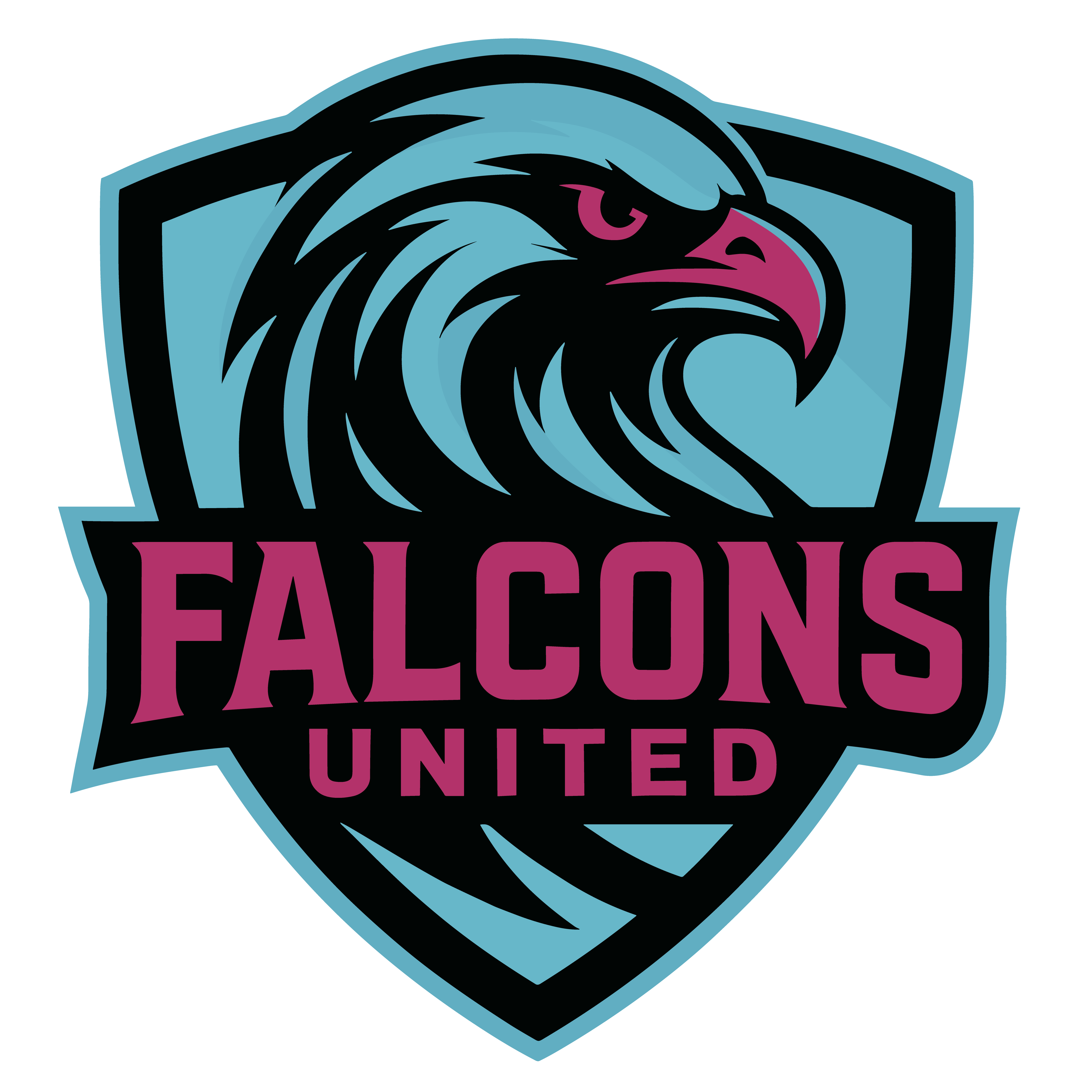 Falcons United logo