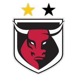 Honolulu Bulls Soccer Club logo