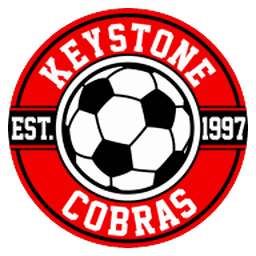 Keystone Cobras SC logo
