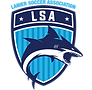 Lanier Soccer Academy logo