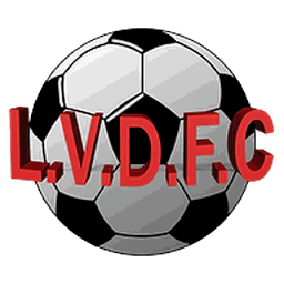 LAS VEGAS DIVERSITY FC logo