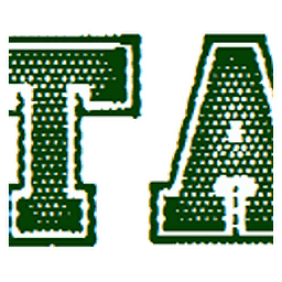 Lehigh Township AA logo