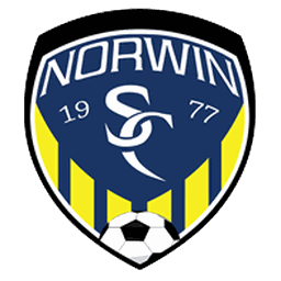 Norwin logo