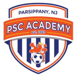 PSC Academy logo
