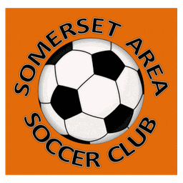 Somerset Area logo