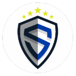 Sting Nebraska logo