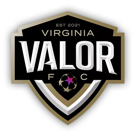 VA Valor logo