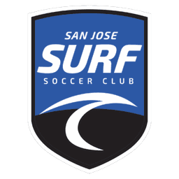 Valley Surf logo