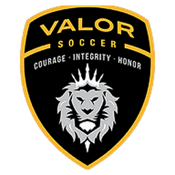 Valor Soccer logo